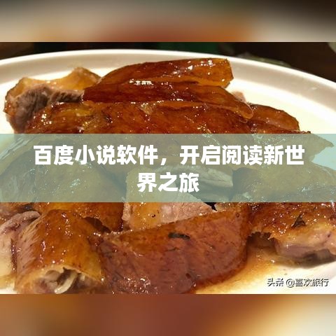 百度小说软件，开启阅读新世界之旅