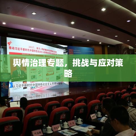舆情治理专题，挑战与应对策略