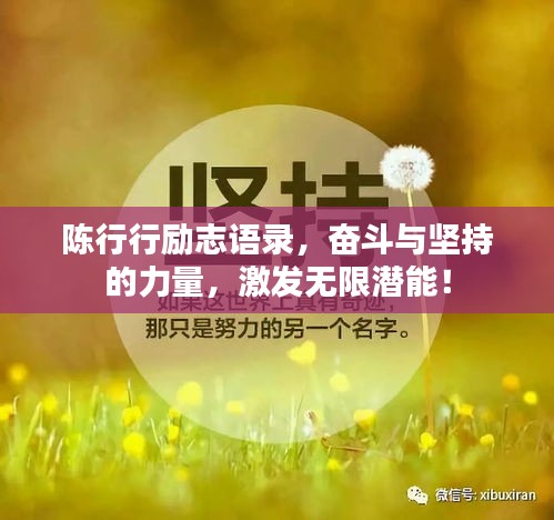 陈行行励志语录，奋斗与坚持的力量，激发无限潜能！