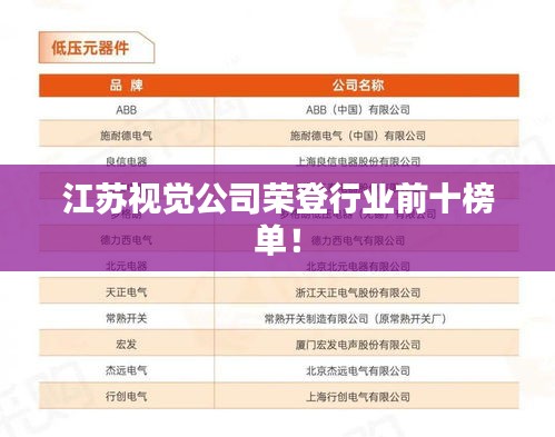 江苏视觉公司荣登行业前十榜单！