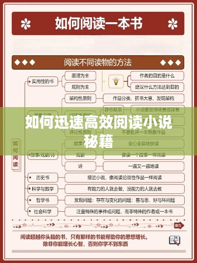 如何迅速高效阅读小说秘籍