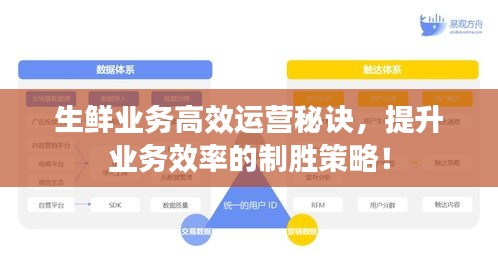 生鲜业务高效运营秘诀，提升业务效率的制胜策略！