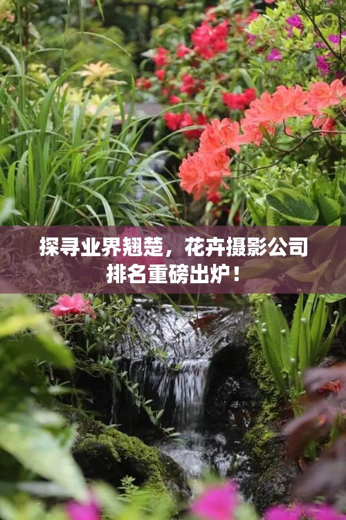 探寻业界翘楚，花卉摄影公司排名重磅出炉！