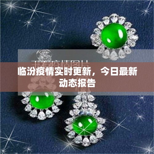 临汾疫情实时更新，今日最新动态报告