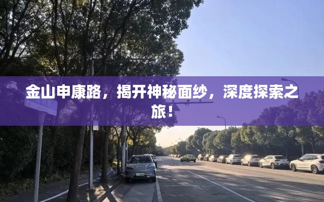 金山申康路，揭开神秘面纱，深度探索之旅！