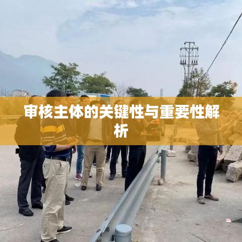 审核主体的关键性与重要性解析