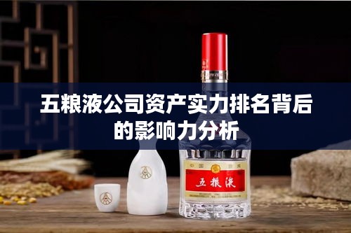 五粮液公司资产实力排名背后的影响力分析