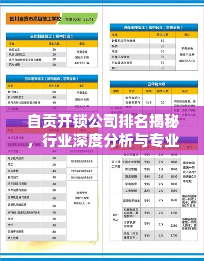 自贡开锁公司排名揭秘，行业深度分析与专业评价
