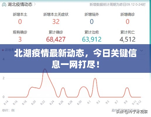 北湖疫情最新动态，今日关键信息一网打尽！