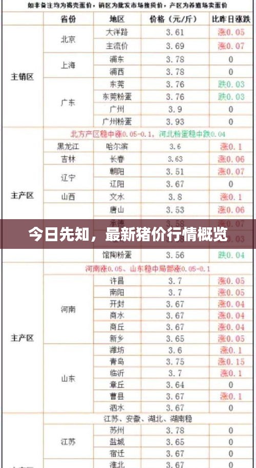 今日先知，最新猪价行情概览