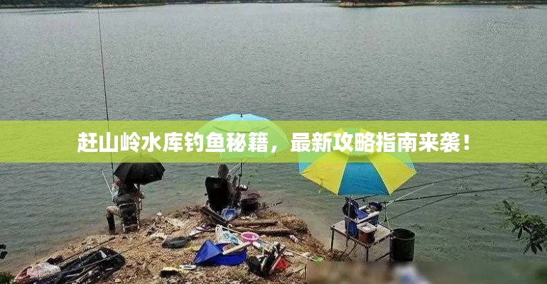赶山岭水库钓鱼秘籍，最新攻略指南来袭！