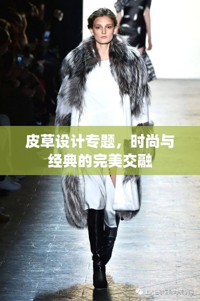 皮草设计专题，时尚与经典的完美交融