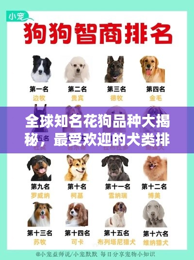 全球知名花狗品种大揭秘，最受欢迎的犬类排行榜！