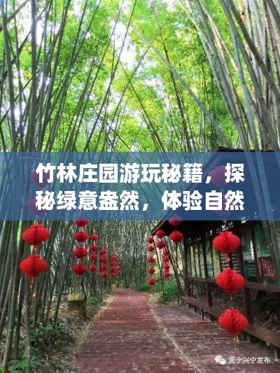 竹林庄园游玩秘籍，探秘绿意盎然，体验自然之美！
