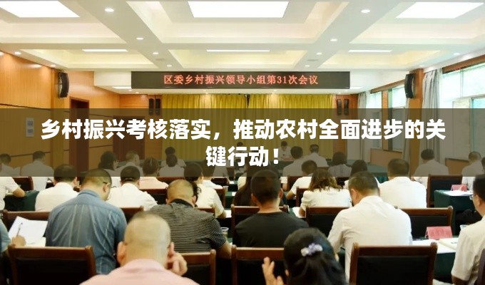 乡村振兴考核落实，推动农村全面进步的关键行动！