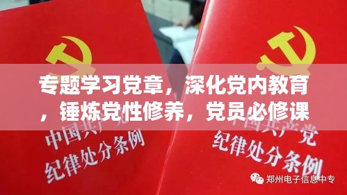专题学习党章，深化党内教育，锤炼党性修养，党员必修课
