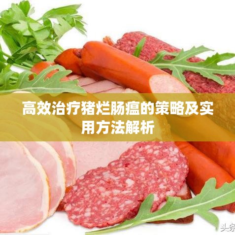 高效治疗猪烂肠瘟的策略及实用方法解析