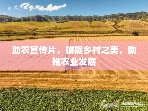 助农宣传片，捕捉乡村之美，助推农业发展