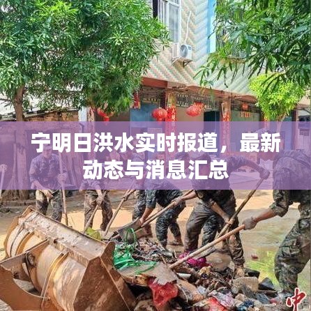 宁明日洪水实时报道，最新动态与消息汇总