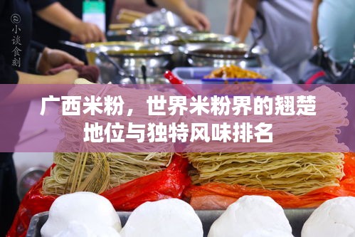广西米粉，世界米粉界的翘楚地位与独特风味排名