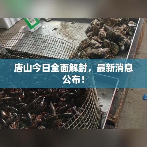 唐山今日全面解封，最新消息公布！