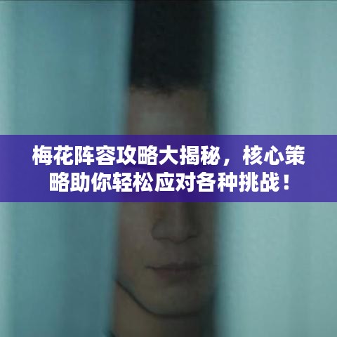 梅花阵容攻略大揭秘，核心策略助你轻松应对各种挑战！
