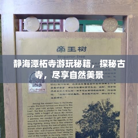静海潭柘寺游玩秘籍，探秘古寺，尽享自然美景