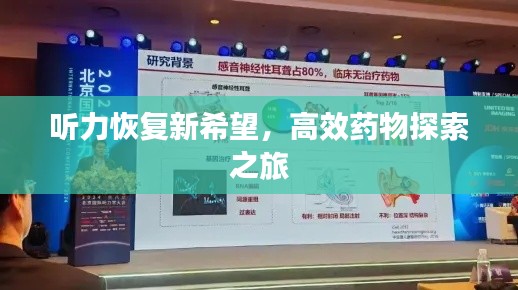 听力恢复新希望，高效药物探索之旅