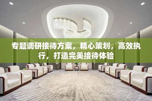 专题调研接待方案，精心策划，高效执行，打造完美接待体验