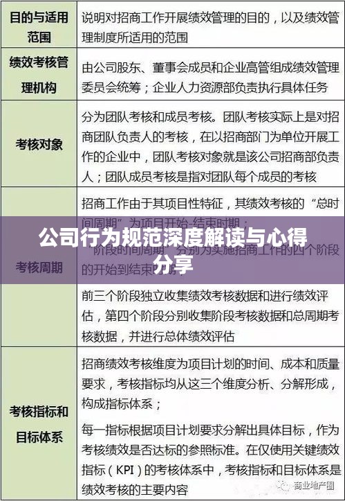 公司行为规范深度解读与心得分享