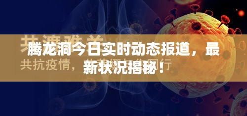 腾龙洞今日实时动态报道，最新状况揭秘！