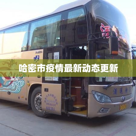 哈密市疫情最新动态更新
