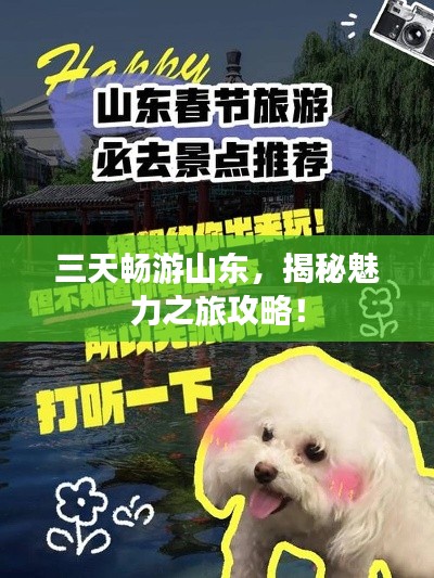三天畅游山东，揭秘魅力之旅攻略！