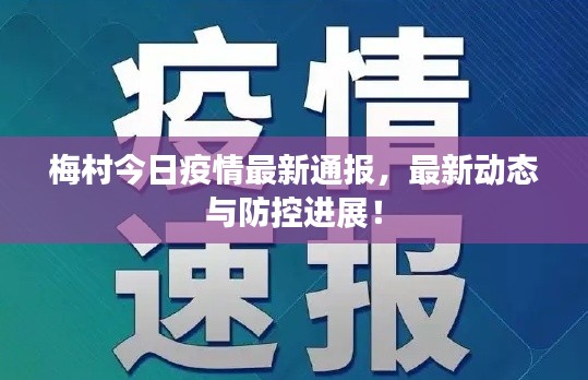 梅村今日疫情最新通报，最新动态与防控进展！