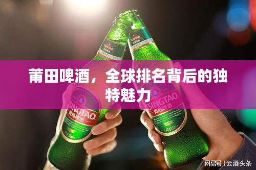 莆田啤酒，全球排名背后的独特魅力