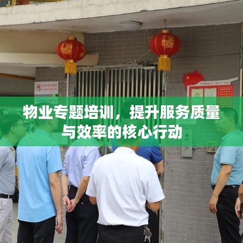 物业专题培训，提升服务质量与效率的核心行动