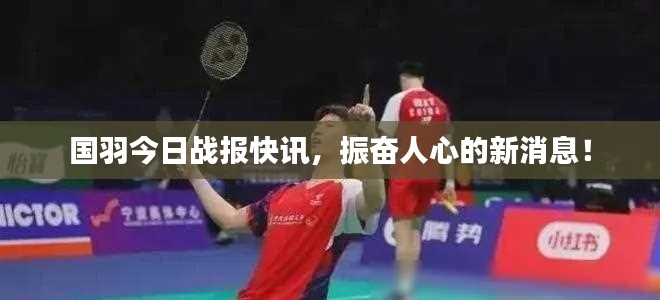 国羽今日战报快讯，振奋人心的新消息！