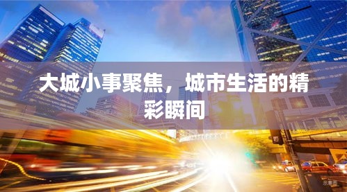 大城小事聚焦，城市生活的精彩瞬间