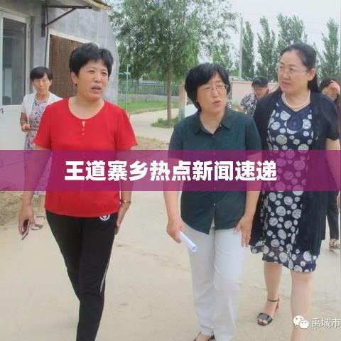 王道寨乡热点新闻速递