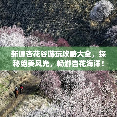 新源杏花谷游玩攻略大全，探秘绝美风光，畅游杏花海洋！