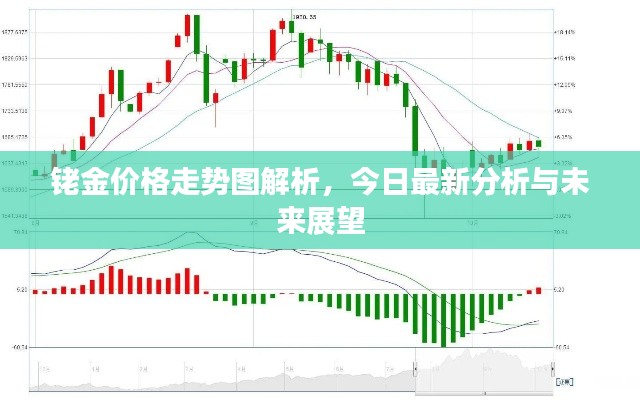 铑金价格走势图解析，今日最新分析与未来展望
