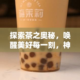 探索茶之奥秘，唤醒美好每一刻，神秘茶宣传词大揭秘！