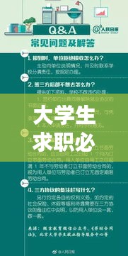 大学生求职必备手册，规范指南助你顺利求职！