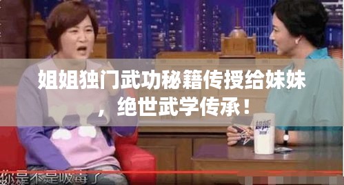姐姐独门武功秘籍传授给妹妹，绝世武学传承！