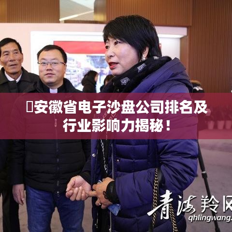 ​安徽省电子沙盘公司排名及行业影响力揭秘！