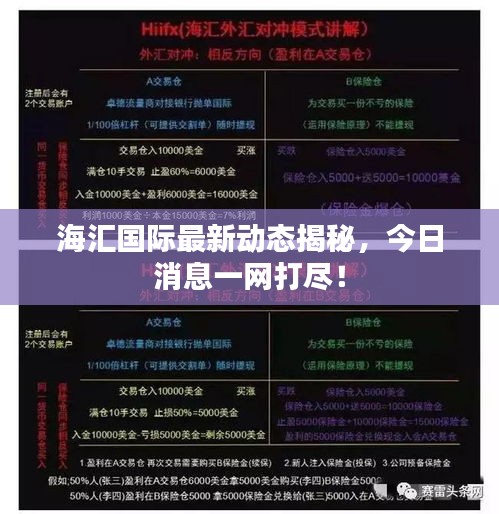 海汇国际最新动态揭秘，今日消息一网打尽！