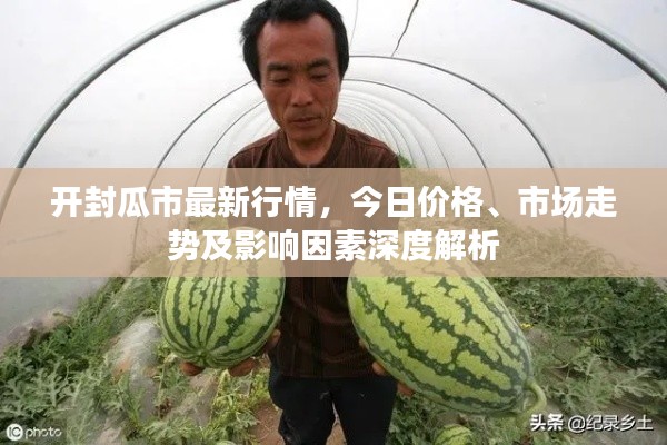 开封瓜市最新行情，今日价格、市场走势及影响因素深度解析