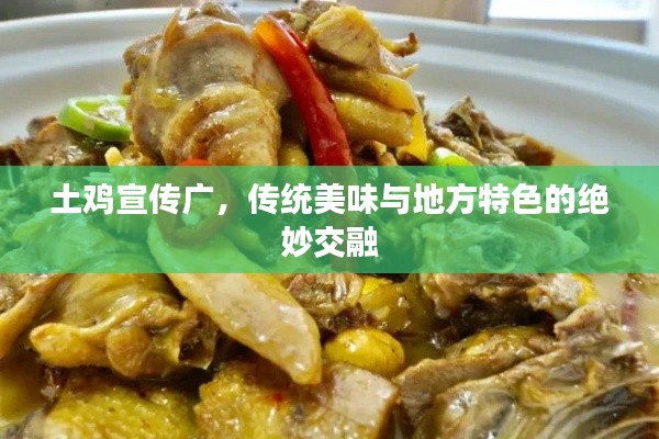 土鸡宣传广，传统美味与地方特色的绝妙交融