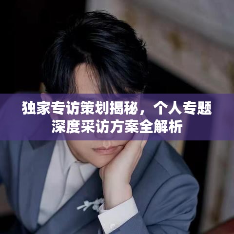 独家专访策划揭秘，个人专题深度采访方案全解析