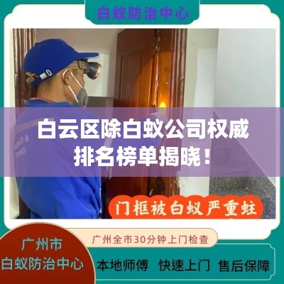 白云区除白蚁公司权威排名榜单揭晓！
